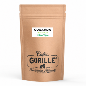 CAFÉ D'OUGANDA - MALIDADI - Micro-lot by Norman Mukuru